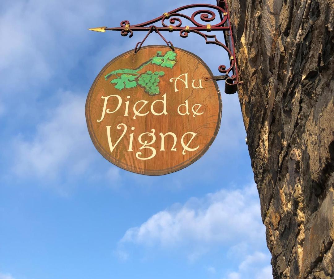 Apparthôtel Au Pied de Vigne Vresse-sur-Semois Exterior foto
